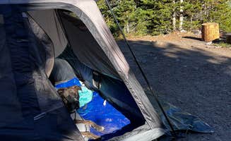 King D.'s photo of camping with pets at Alta Lakes Campground (Dispersed) near Silverton, CO