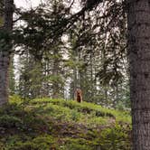 Review photo of Alta Lakes Campground (Dispersed) by Jazzmin O., July 8, 2026