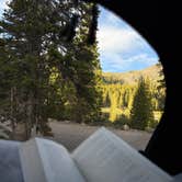 Review photo of Alta Lakes Campground (Dispersed) by Jessalyn M., June 17, 2026