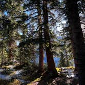 Review photo of Alta Lakes Campground (Dispersed) by King D., December 13, 2023