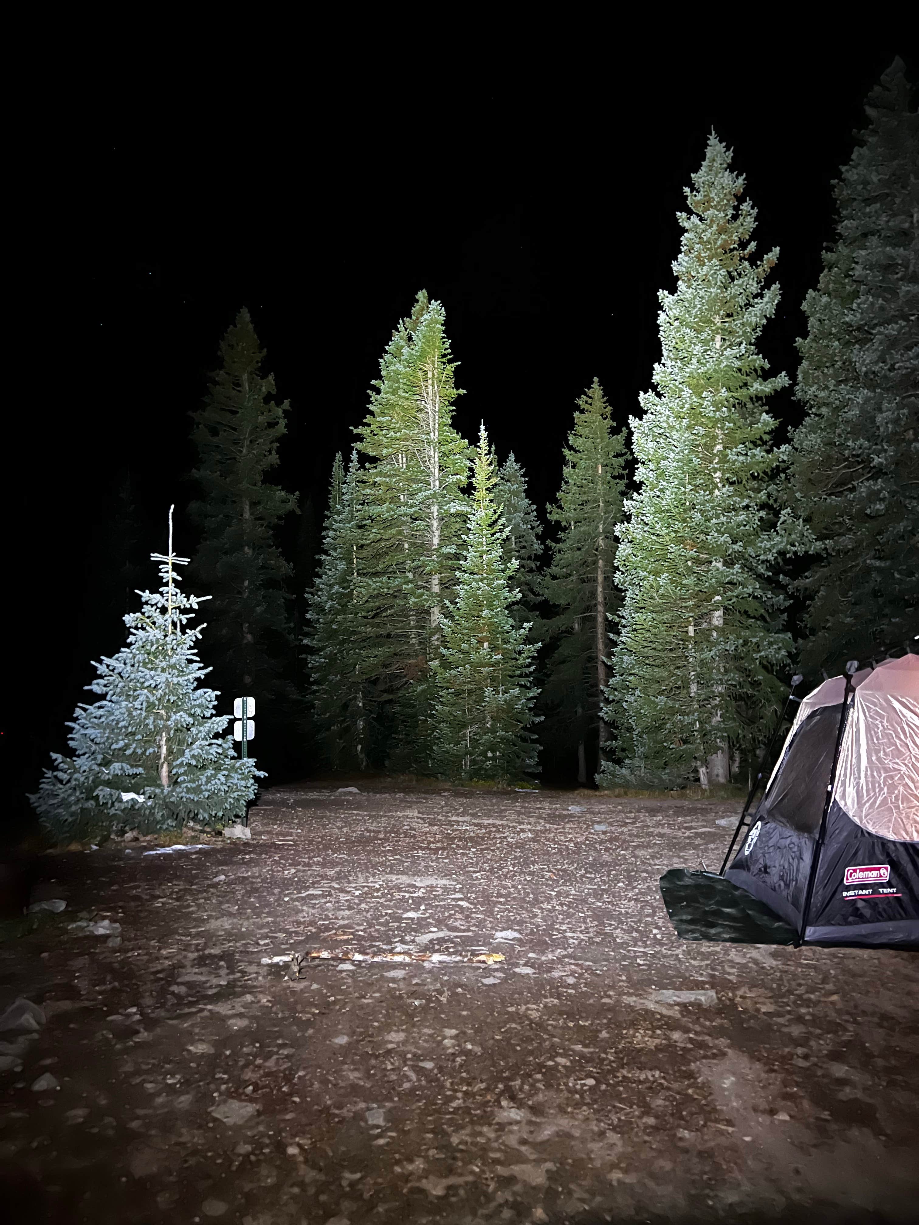 King D.'s photo of tent camping at Alta Lakes Campground (Dispersed) near Powderhorn, CO