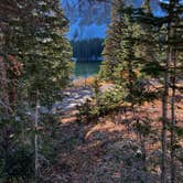 Review photo of Alta Lakes Campground (Dispersed) by King D., December 13, 2023
