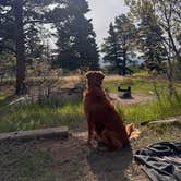 Review photo of Alvarado Campground by Selina , June 3, 2026