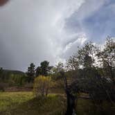 Review photo of Alvarado Campground by Selina , June 3, 2026