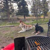 Review photo of Alvarado Campground by Selina , June 3, 2026