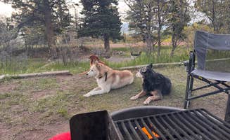 Selina's photo of camping with pets at Alvarado Campground near Rye, CO