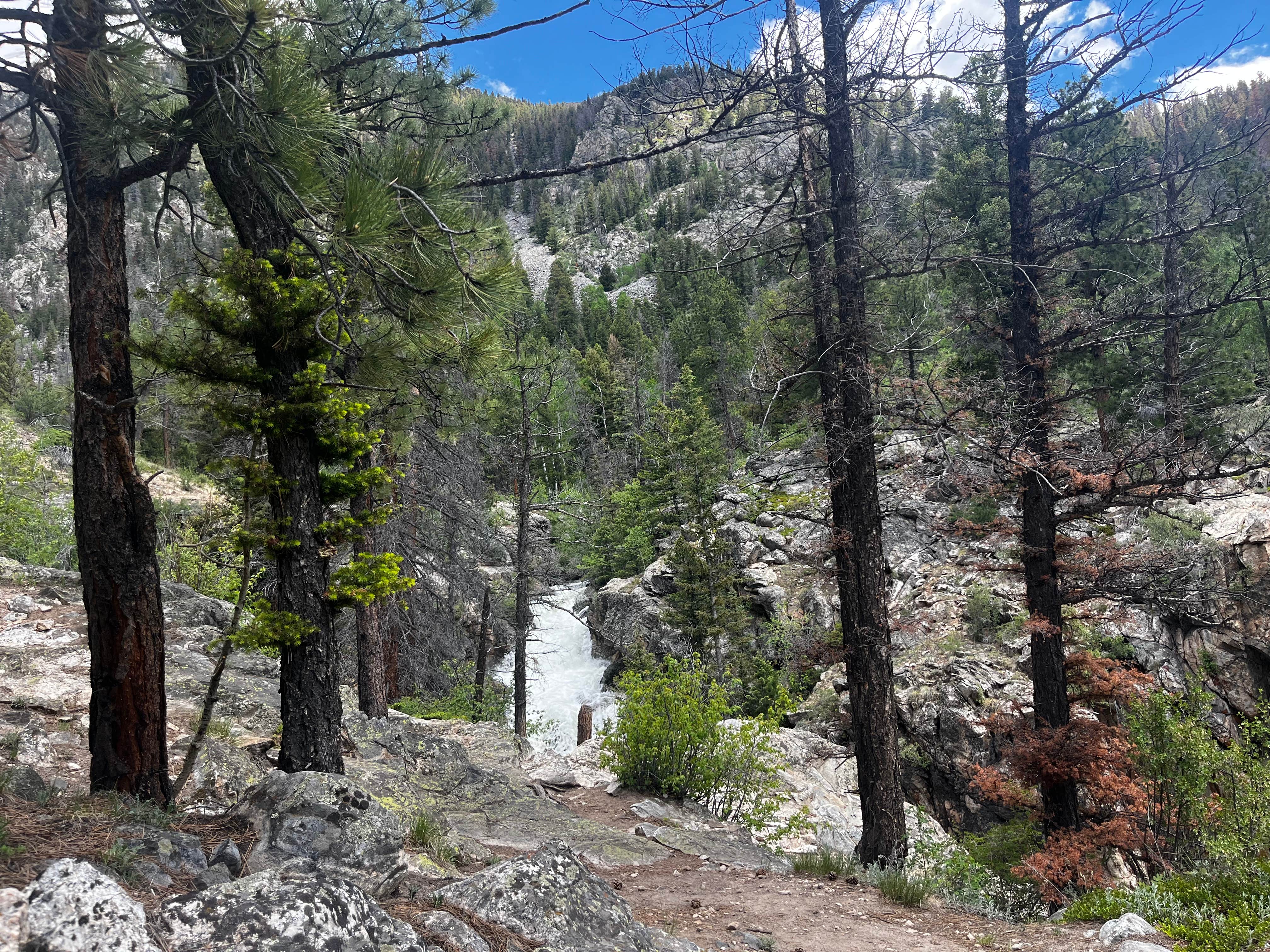 Camper-submitted photo at Angel Of Shavano Group — Psicc near Monarch, CO