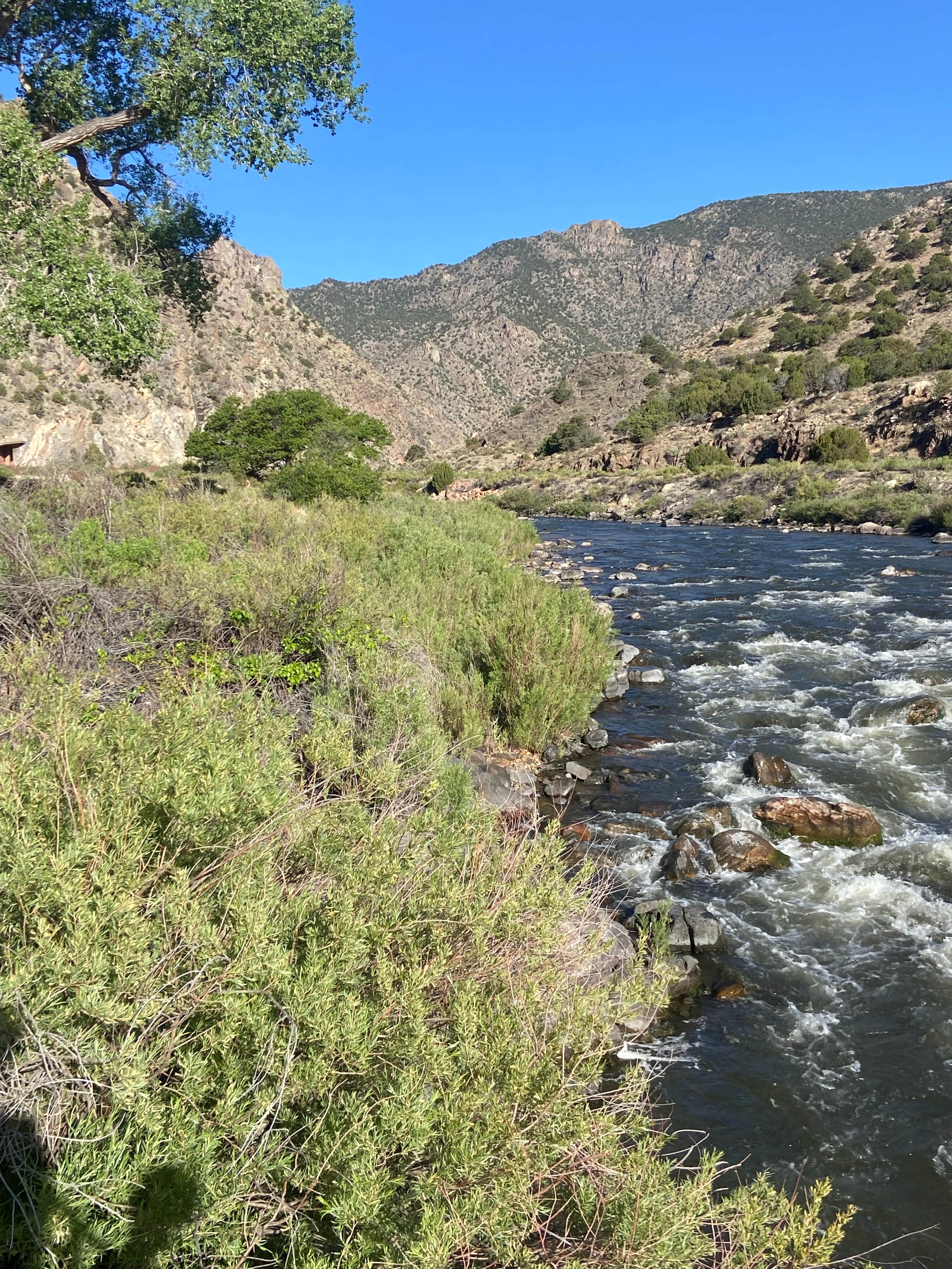 Camper-submitted photo at Five Points Campground — Arkansas Headwaters Recreation Area near Cotopaxi, CO