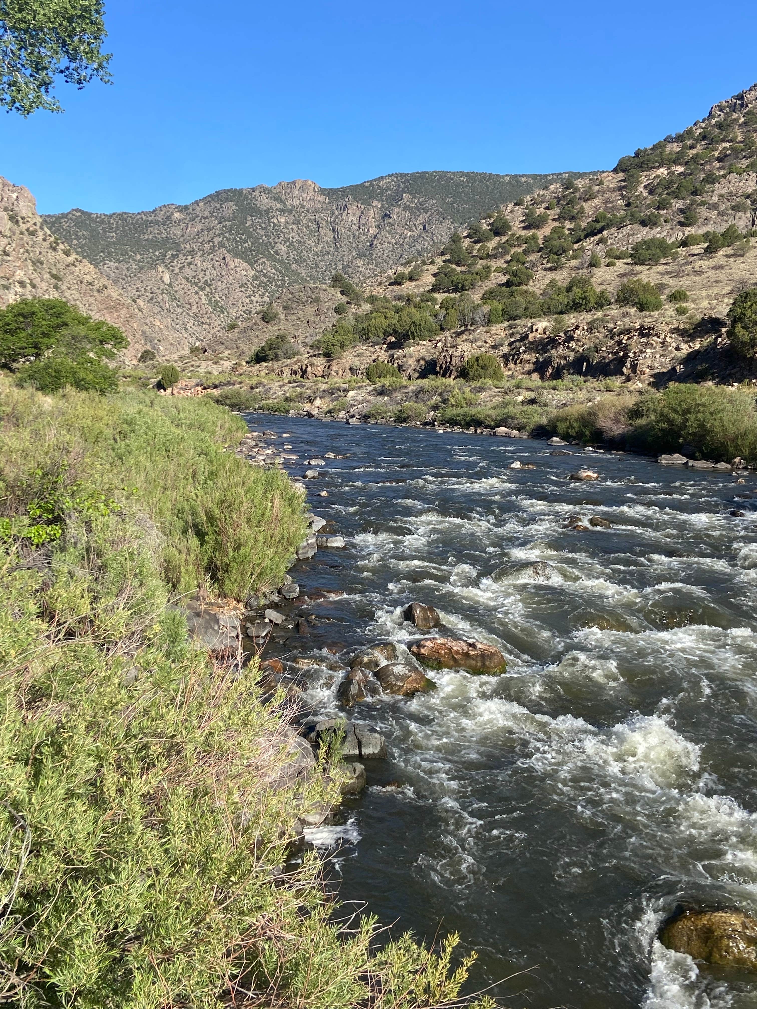 Camper-submitted photo at Five Points Campground — Arkansas Headwaters Recreation Area near Cotopaxi, CO