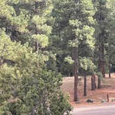 Review photo of Aspen Glade (rio Grande National Forest, Co) by johny R., April 11, 2026