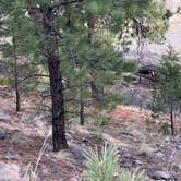 Review photo of Aspen Glade (rio Grande National Forest, Co) by johny R., April 11, 2026