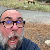 Review photo of Aspenglen Campground — Rocky Mountain National Park by Tony S., September 7, 2026