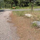 Review photo of Aspenglen Campground — Rocky Mountain National Park by Reed R., July 21, 2024