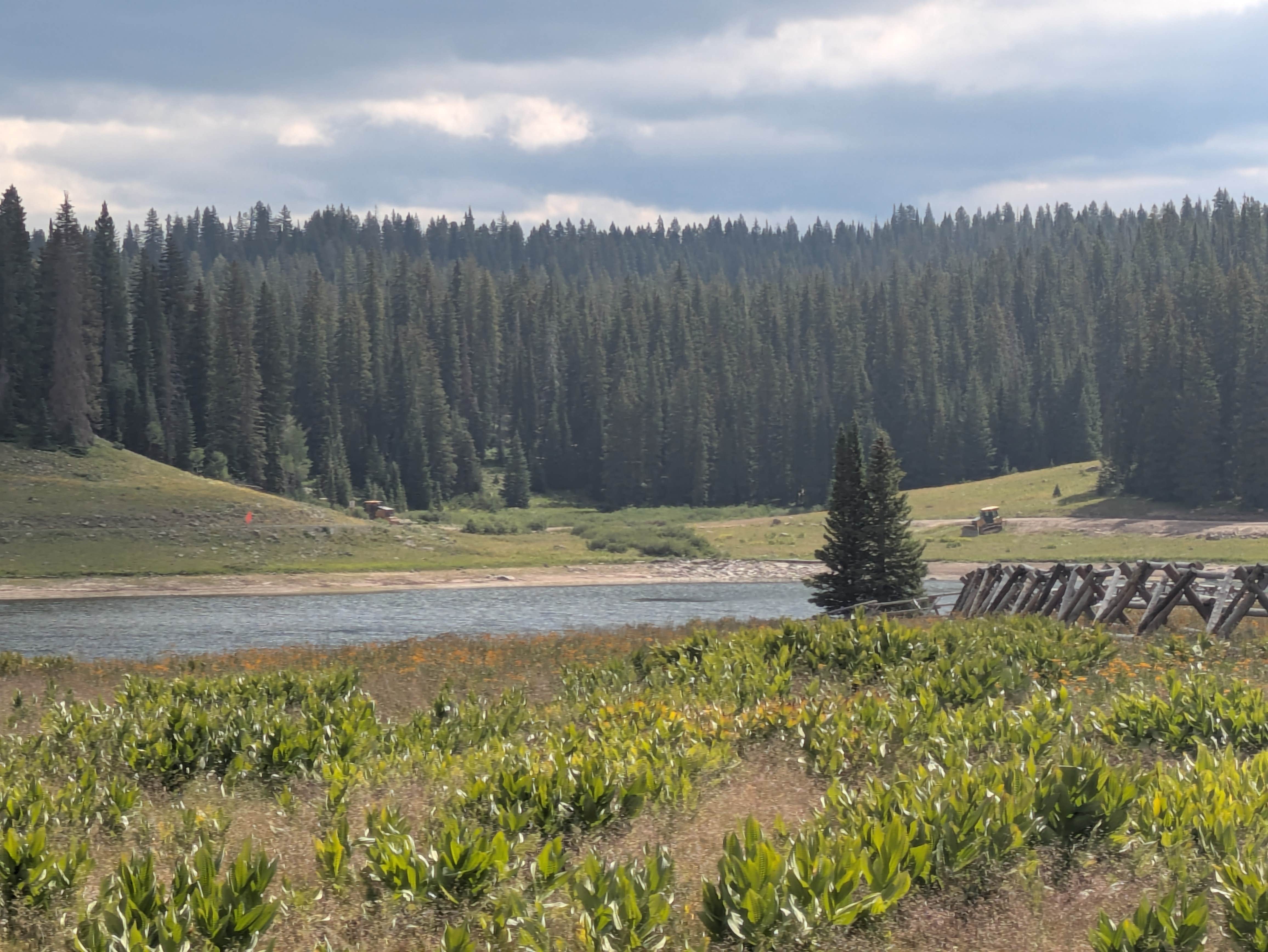 Camping near Kiser Creek: Big Creek, Mesa Lakes, Colorado