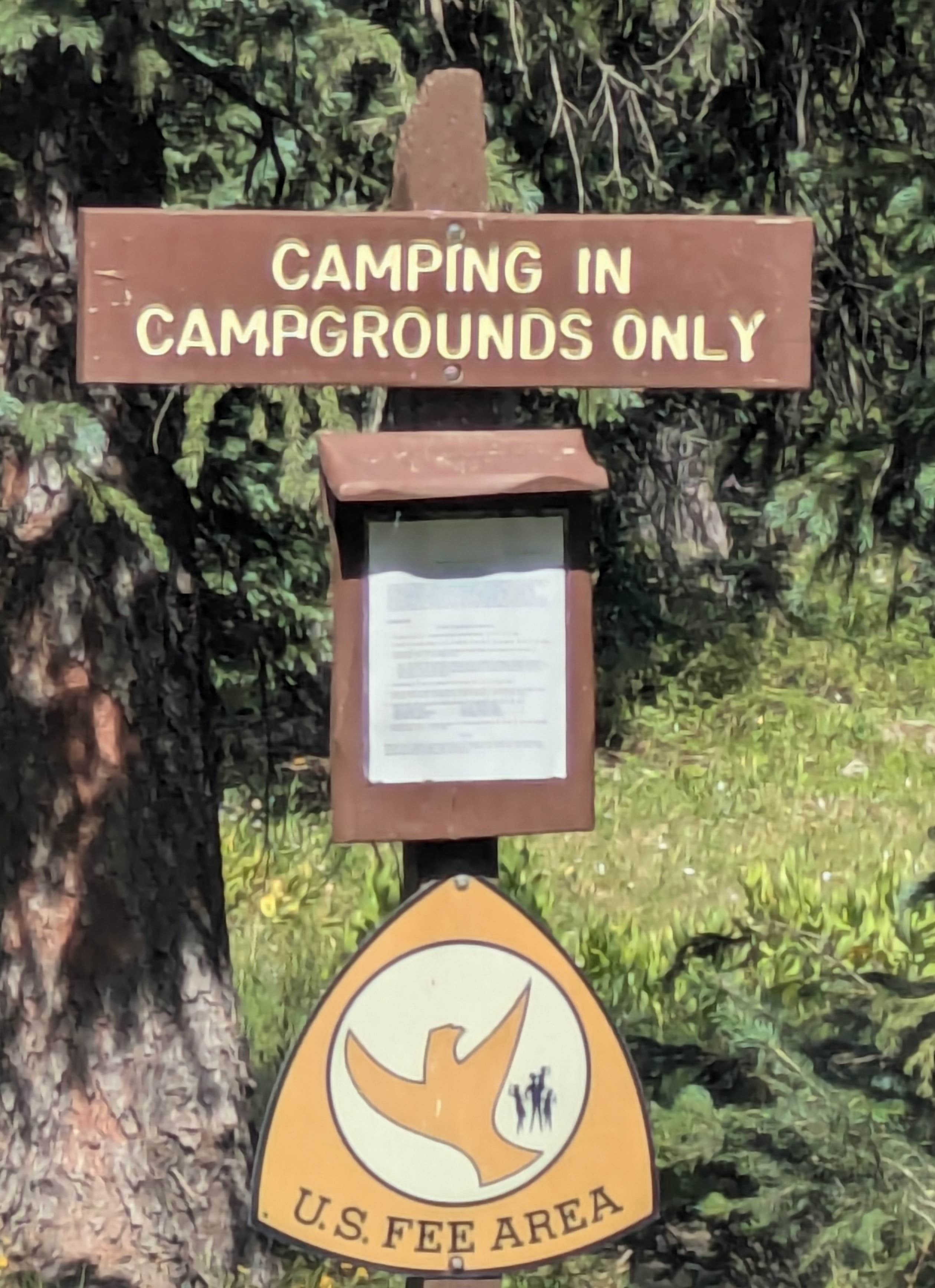 Camper submitted image from Big Creek - 5