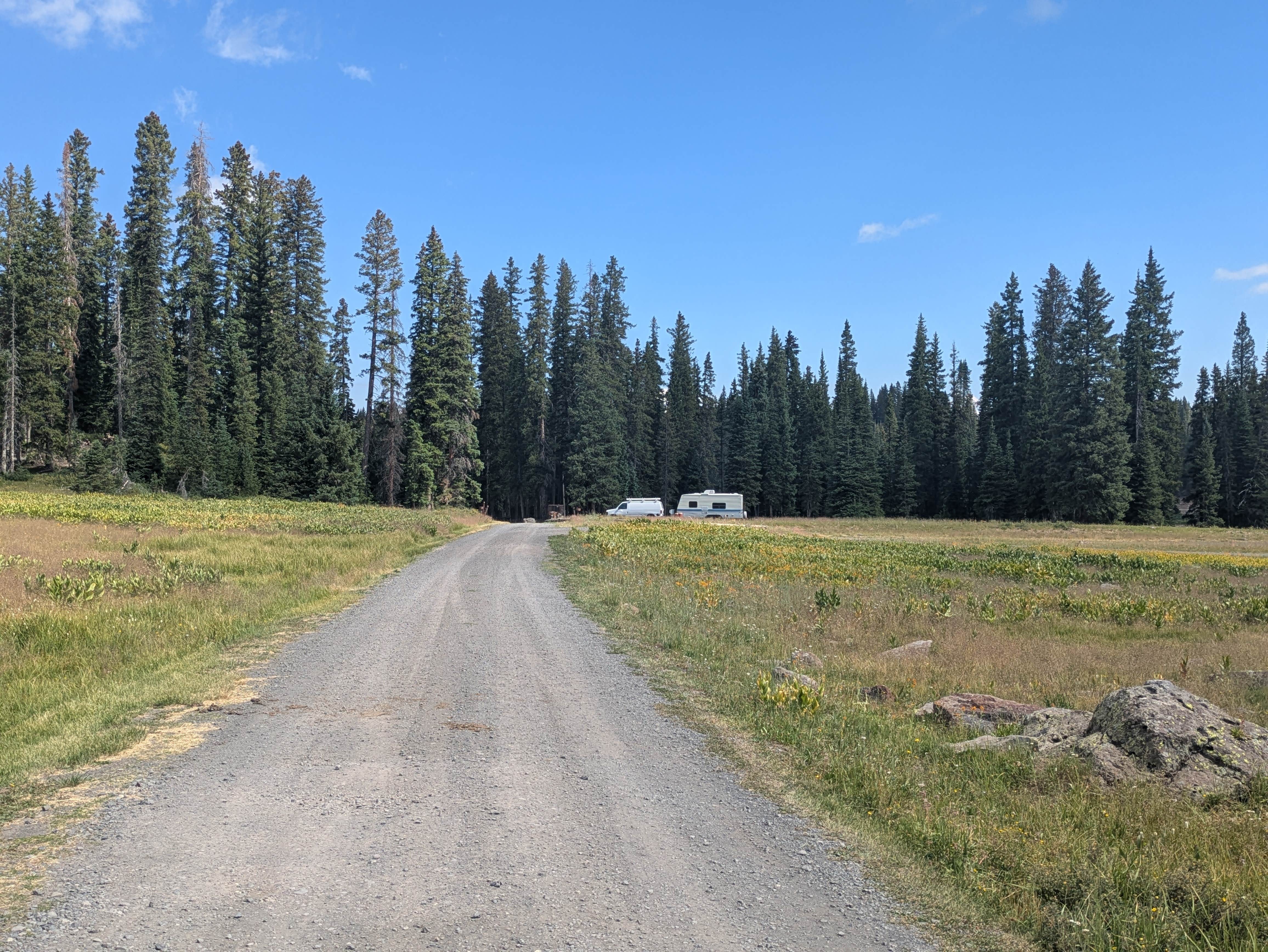 Camper submitted image from Big Creek - 4