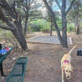 Review photo of North Rim Campground — Black Canyon of the Gunnison National Park by Wm S., September 5, 2026