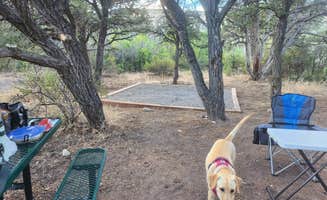 Wm S.'s photo of camping with pets at North Rim Campground — Black Canyon of the Gunnison National Park near Crawford, CO