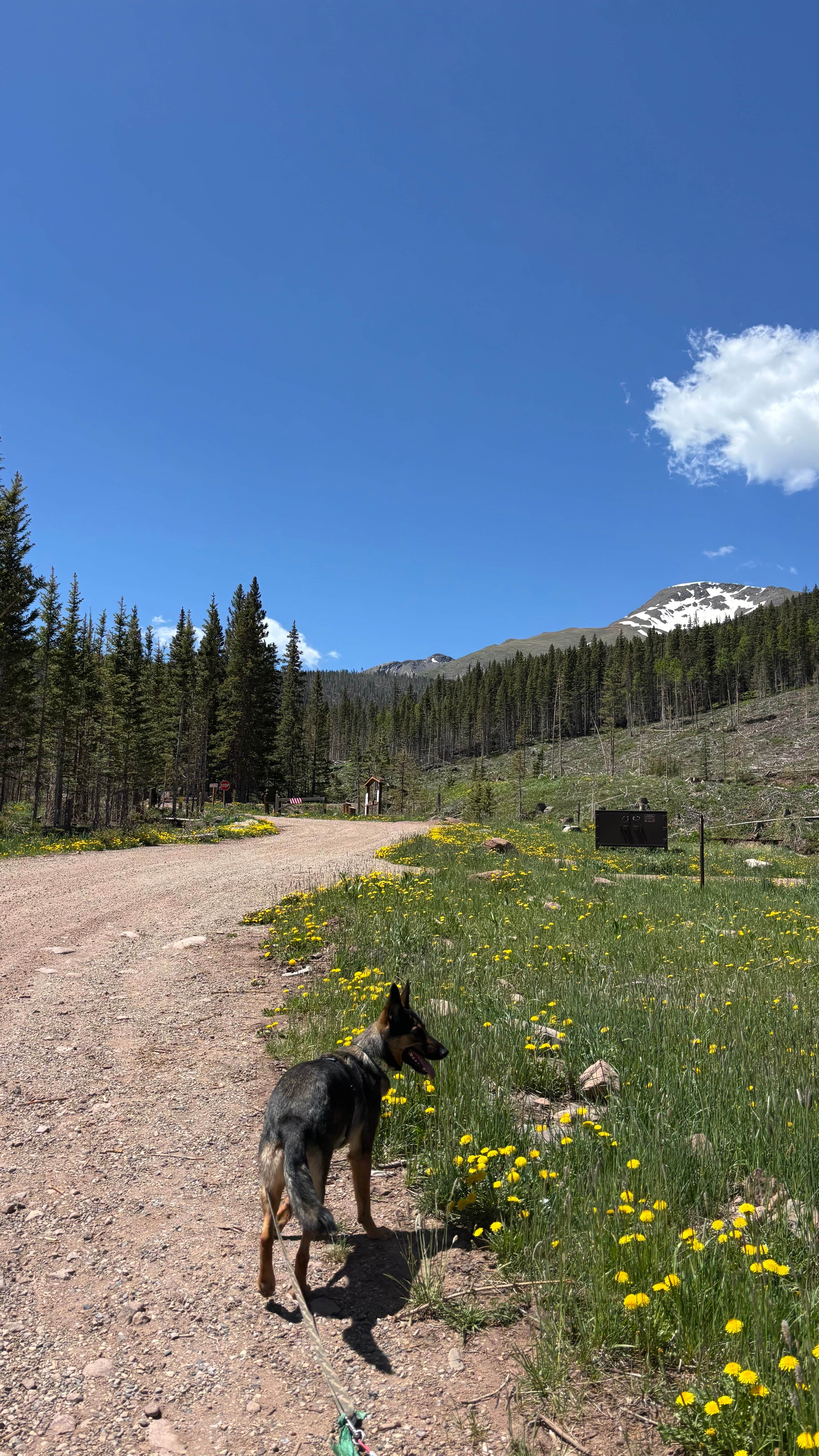 Mattie L.'s photo of camping with pets at Blue Lake Campground - Temporarily Closed near San Luis, CO