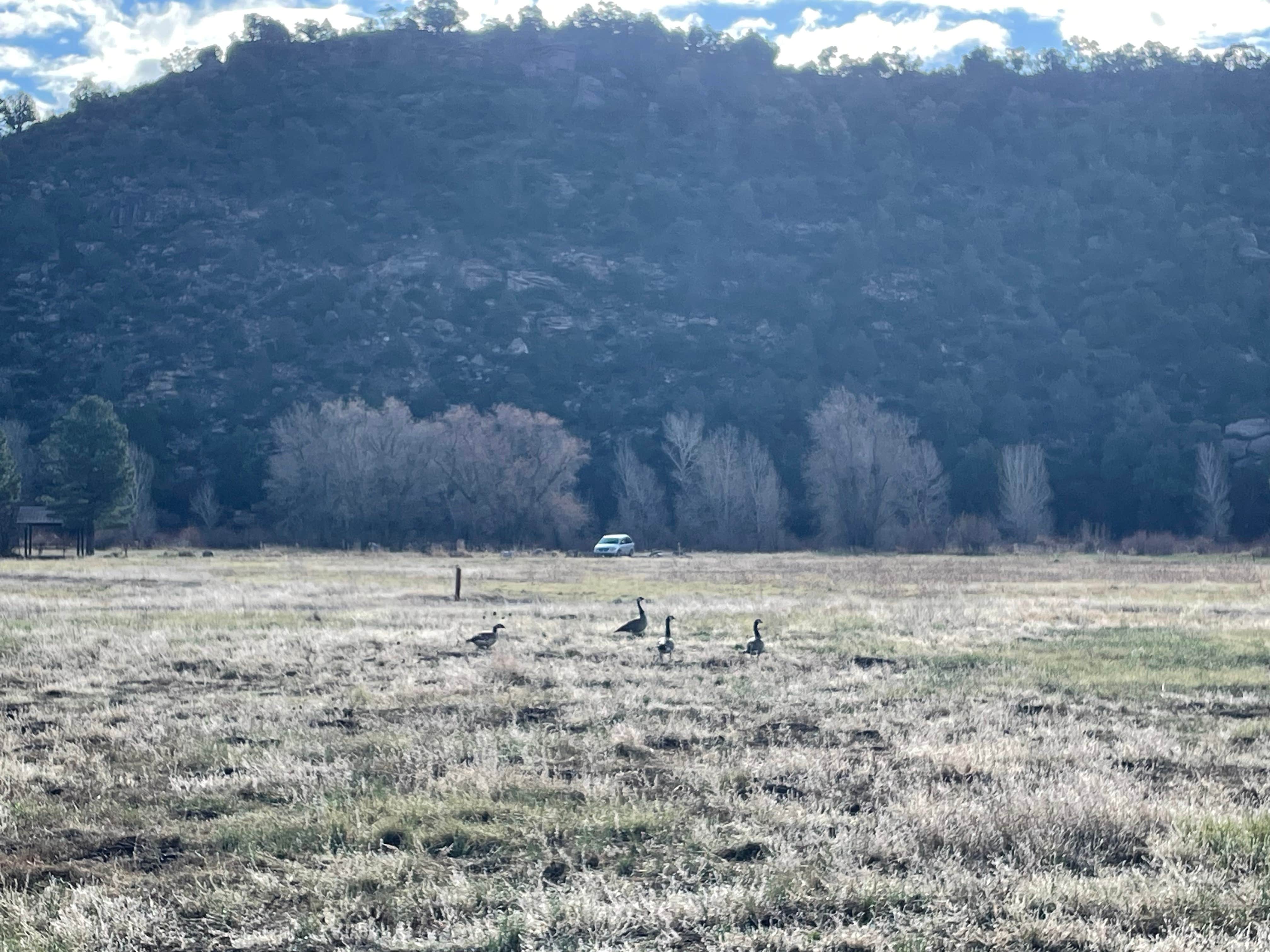 Camper-submitted photo at Bradfield Campground near Dove Creek, CO