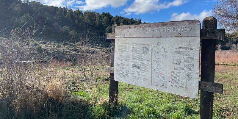 Camper submitted image from Bradfield Campground