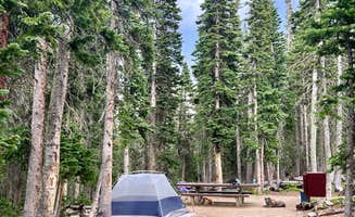 Alicia H.'s photo at Brainard Lake Recreation Area near Ward, CO