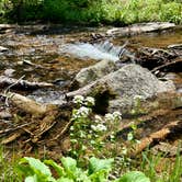 Review photo of Buckingham Campground by Alicia H., July 16, 2026