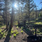 Review photo of Buffalo Pass Campground by Mo’s P., July 3, 2024