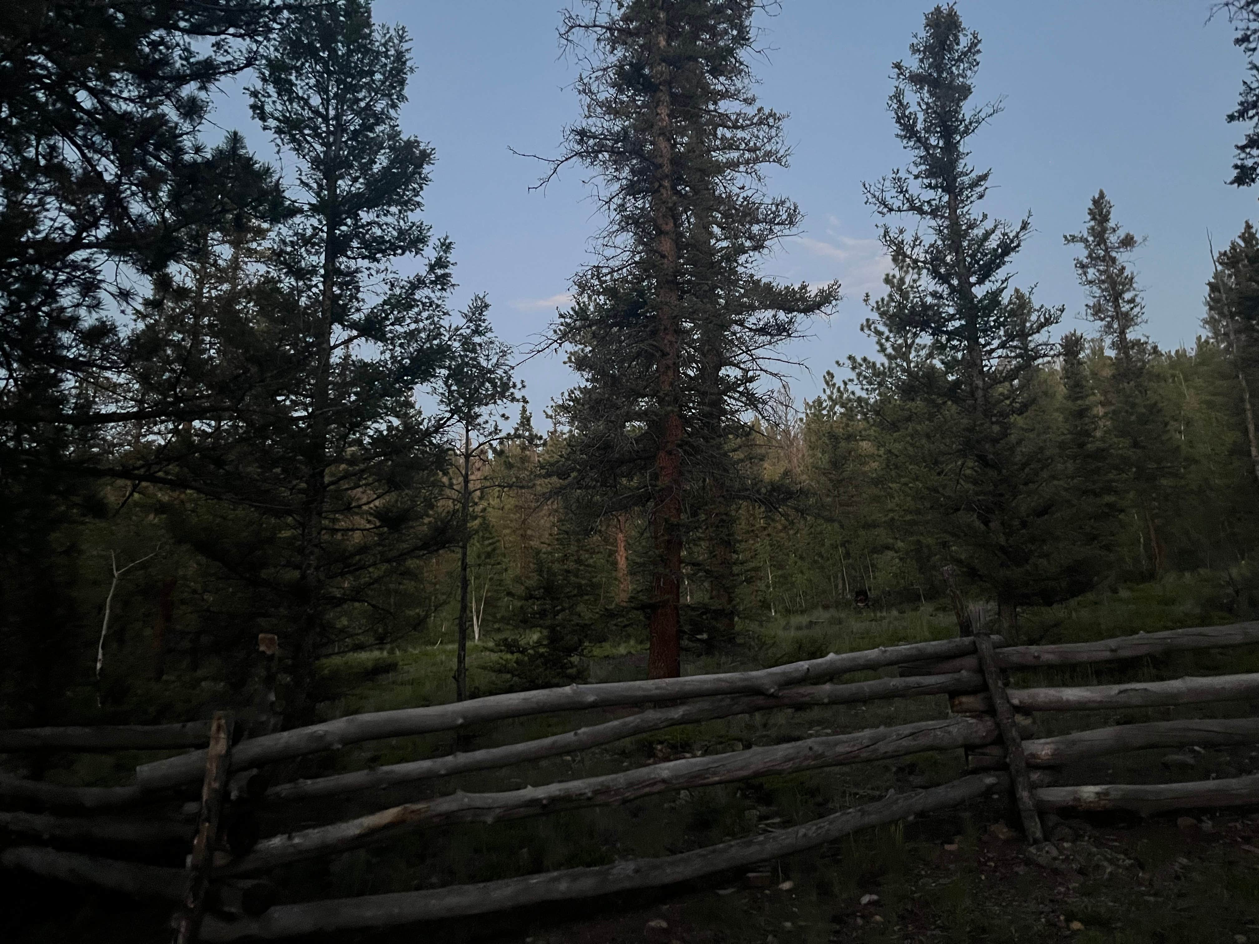 Camper-submitted photo at Buffalo Pass Campground near Saguache, CO