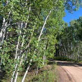 Review photo of Buffalo Pass Campground by Mo’s P., July 3, 2024