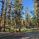Review photo of Buffalo Pass Campground by Mo’s P., July 3, 2024