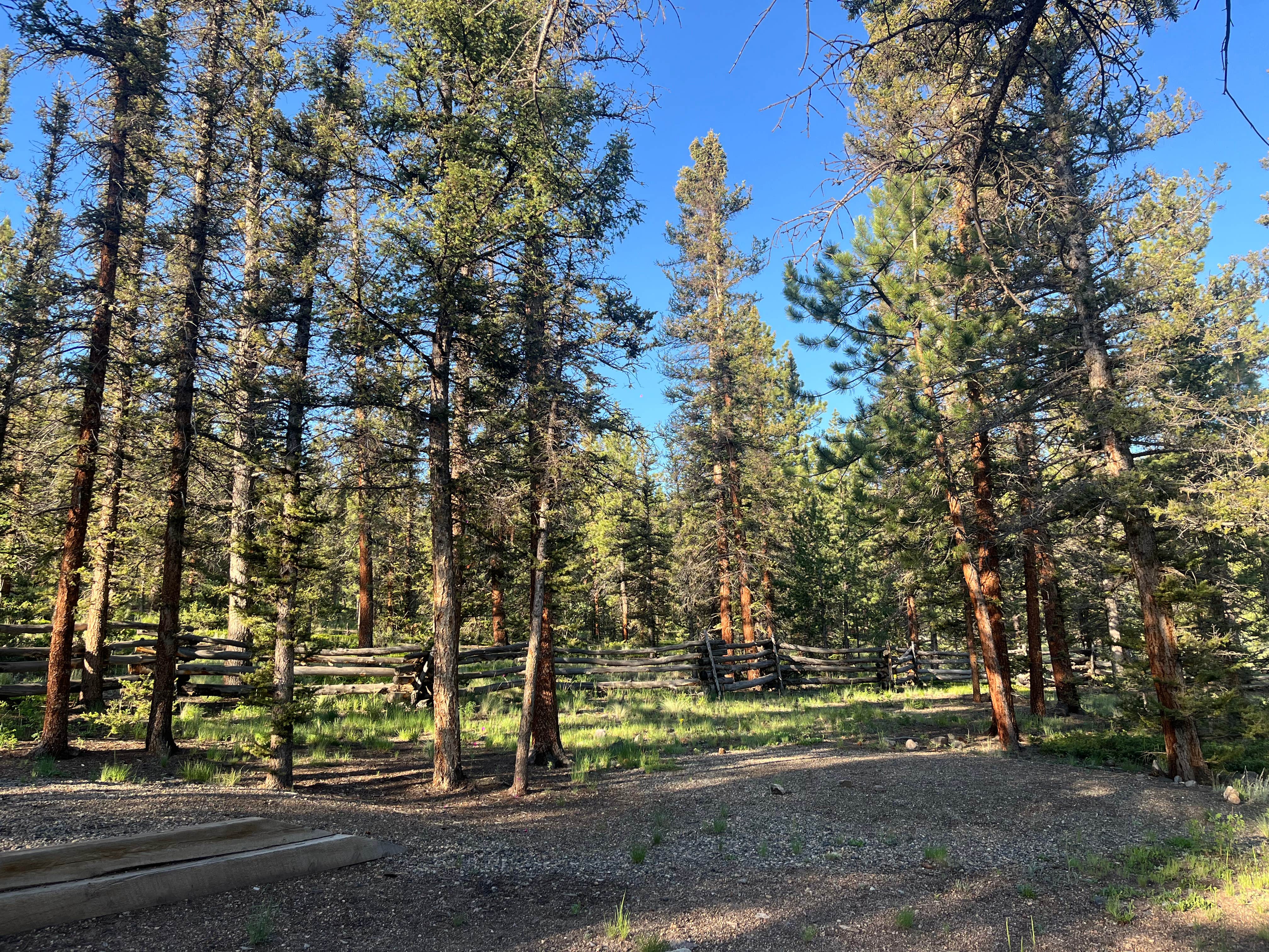 Camper submitted image from Buffalo Pass Campground - 1