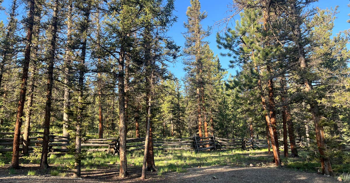 Buffalo Pass Campground
