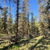 Review photo of Buffalo Pass Campground by Mo’s P., July 3, 2024