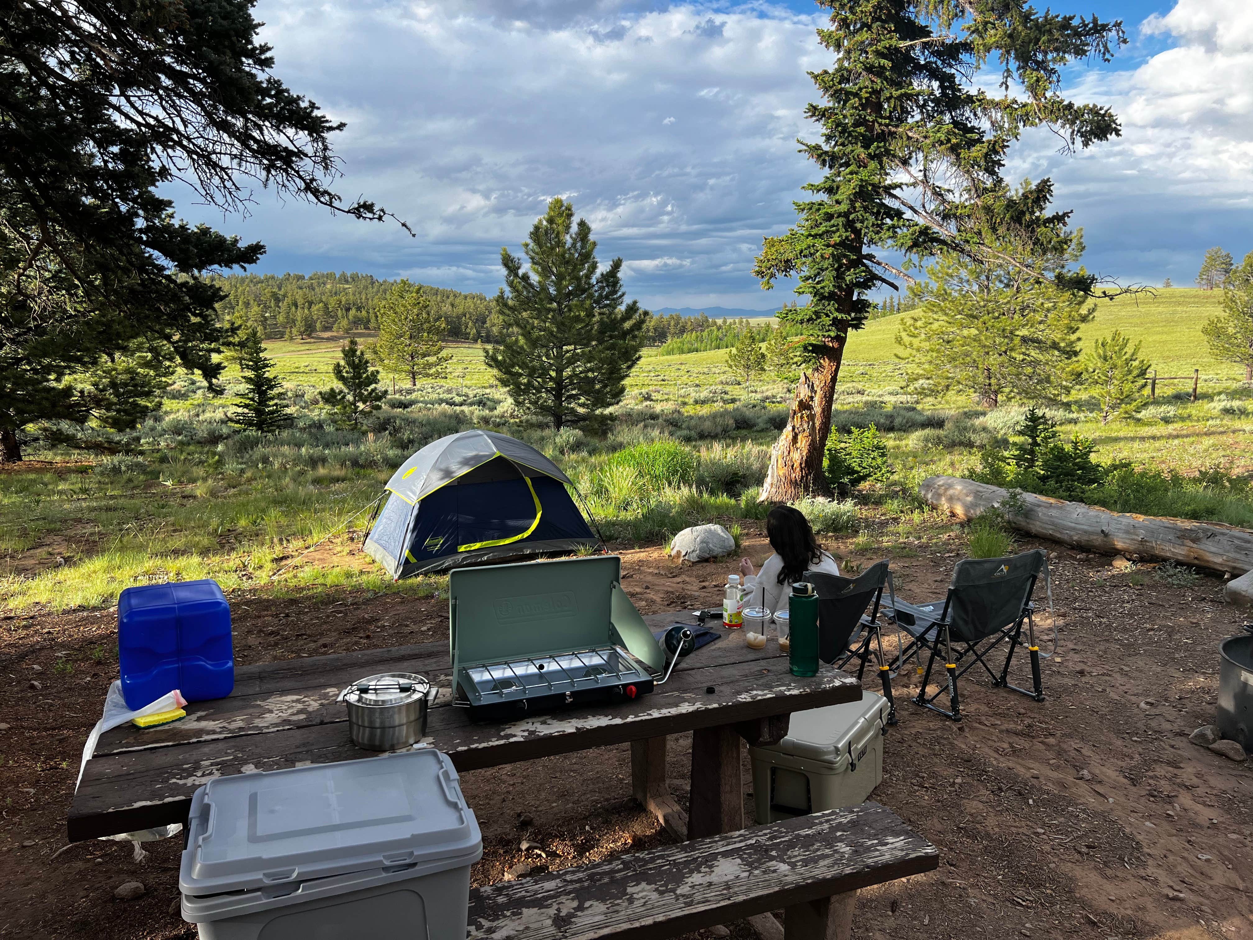 Ryan L.'s photo at Buffalo Springs near Hartsel, CO