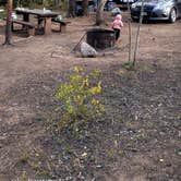 Review photo of Buffalo Springs by Cristobal R., October 4, 2023