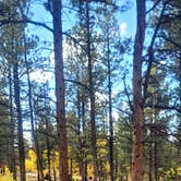 Review photo of Buffalo Springs by Cristobal R., October 4, 2023