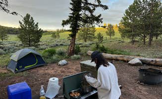 Ryan L.'s photo at Buffalo Springs near Fairplay, CO