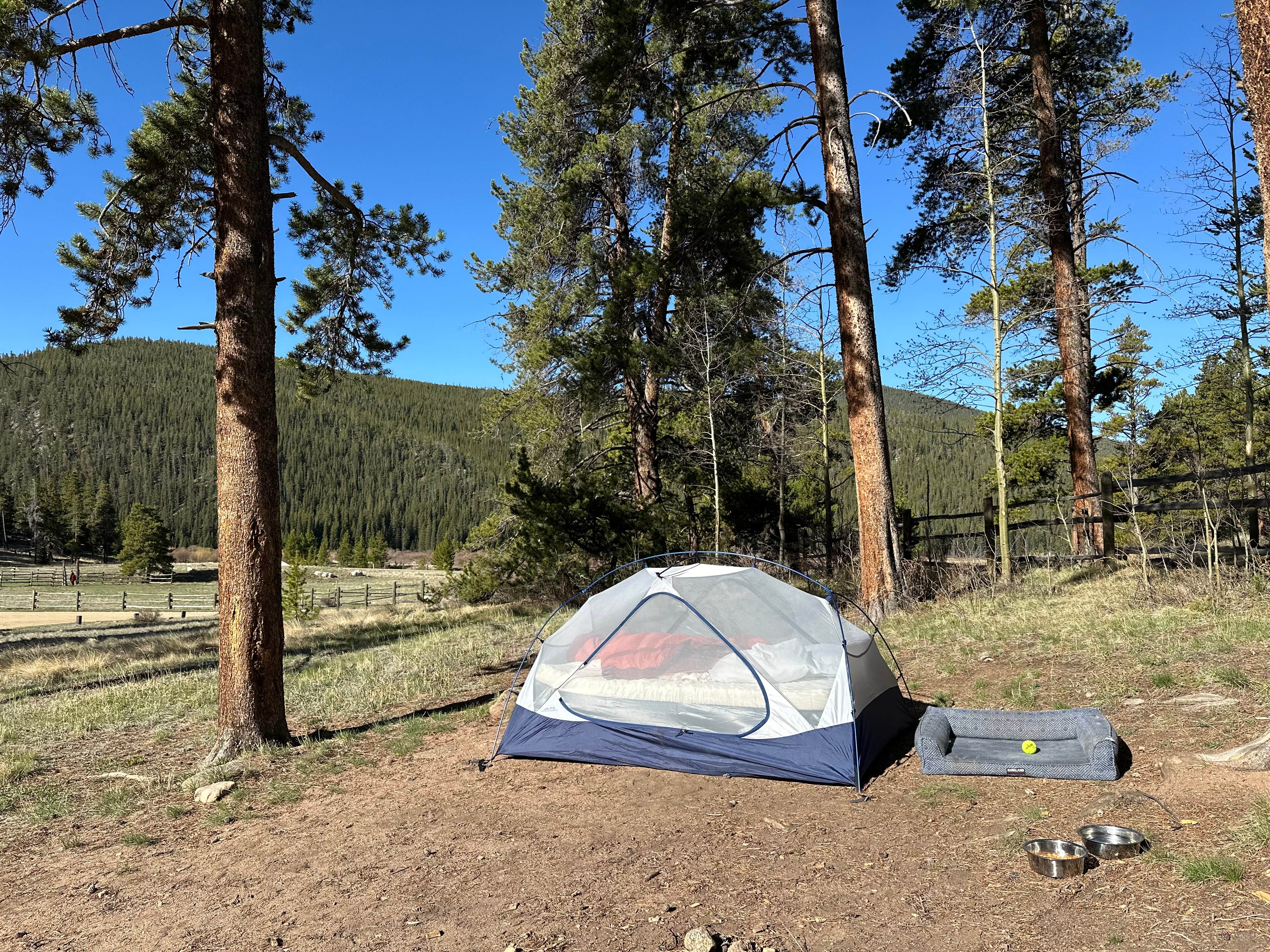 Camper-submitted photo at Burning Bear Campground near Silver Plume, CO
