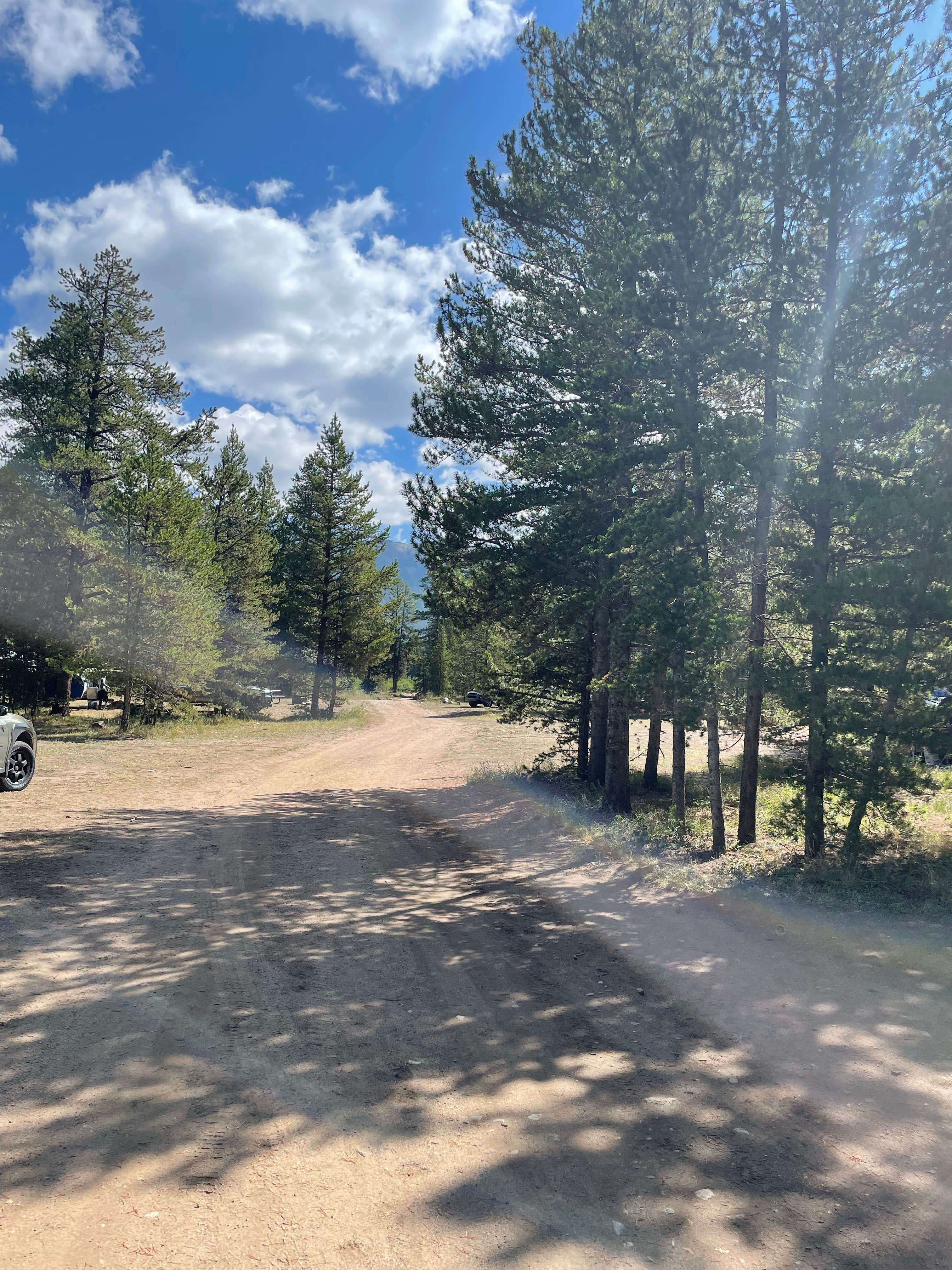 Camper submitted image from Camp Hale East Fork Group - 5