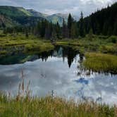Review photo of Camp Hale East Fork Group by Scott D., September 2, 2025