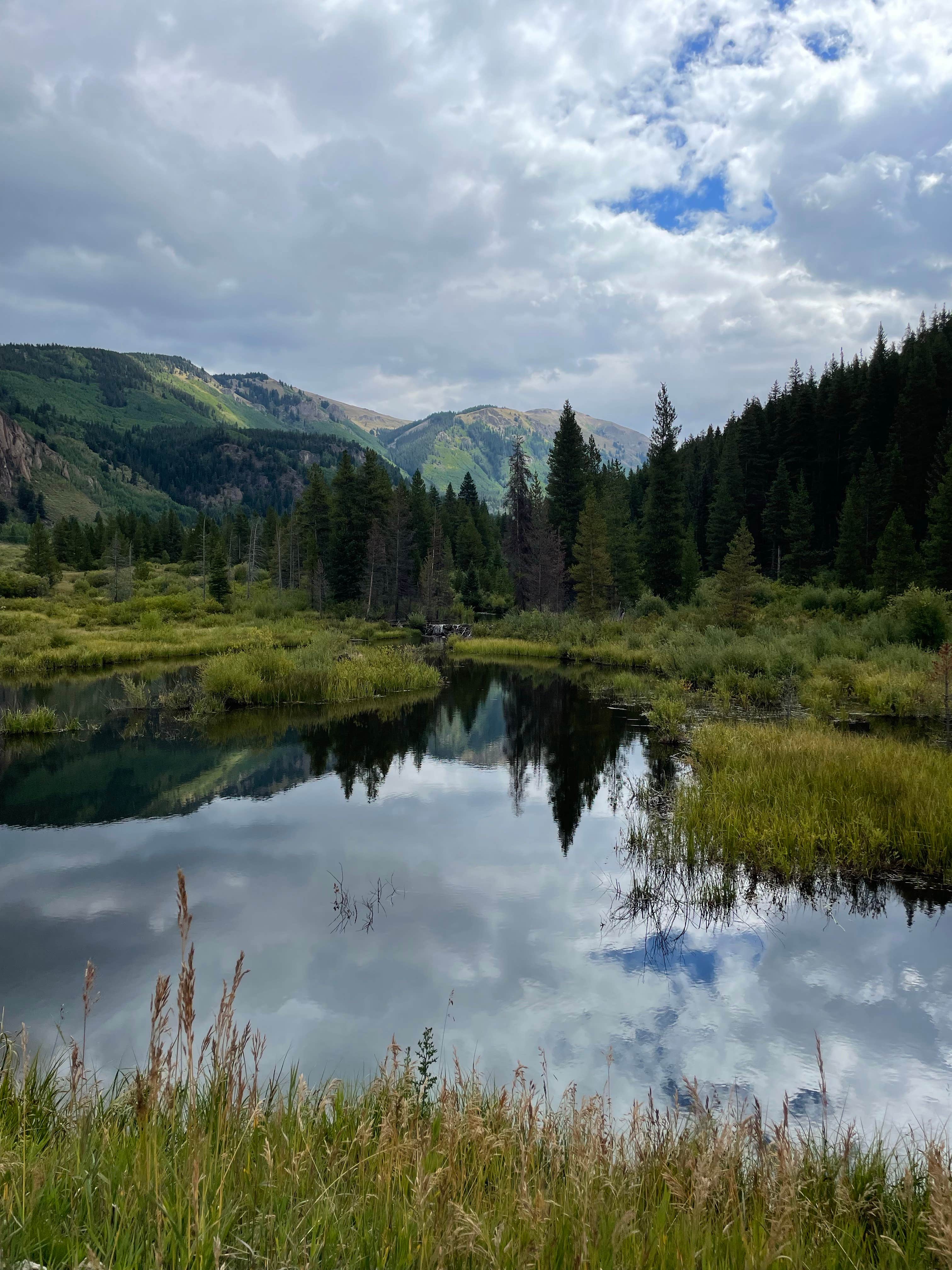 Camper submitted image from Camp Hale East Fork Group - 4