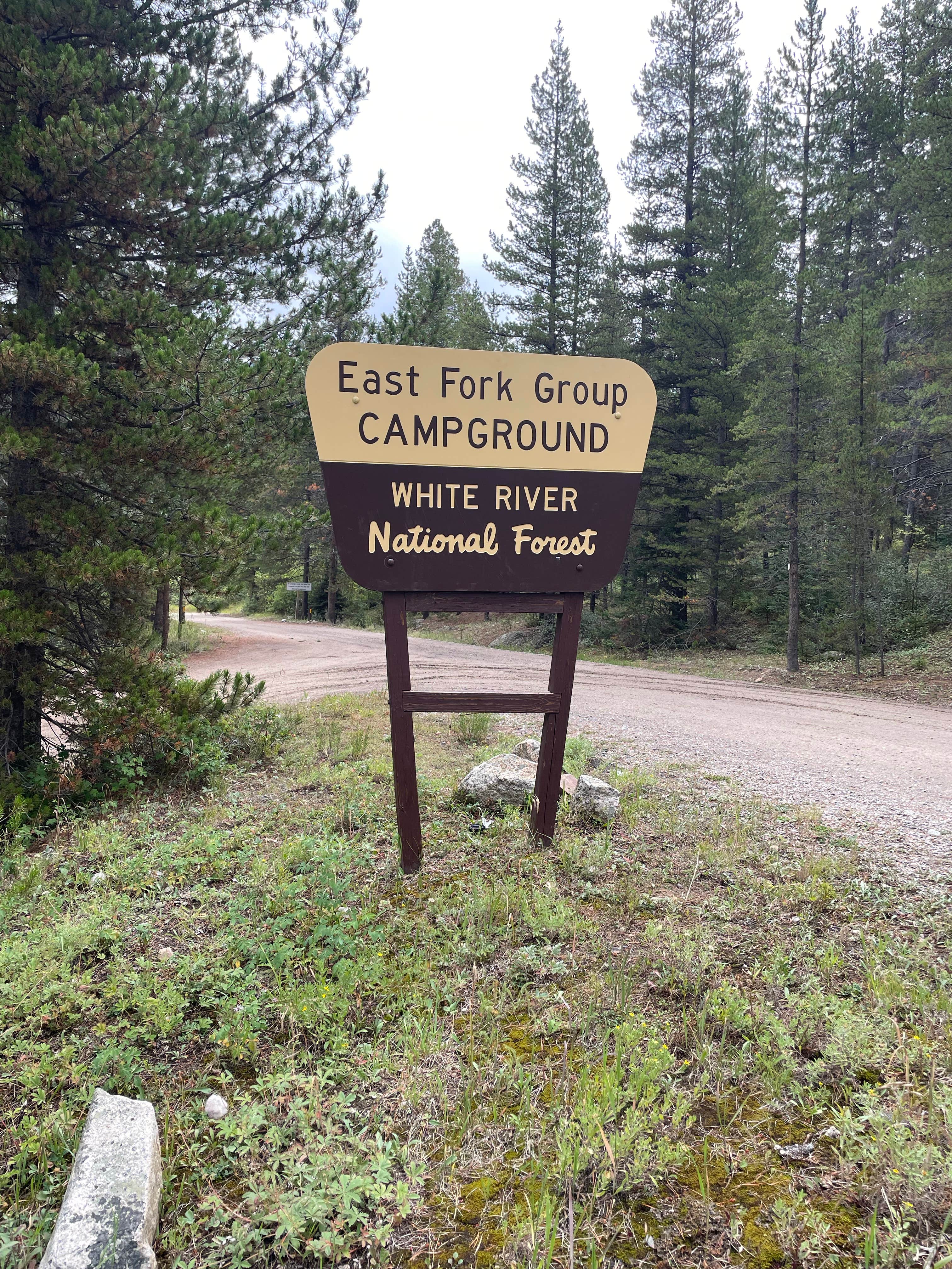 Camper submitted image from Camp Hale East Fork Group - 2