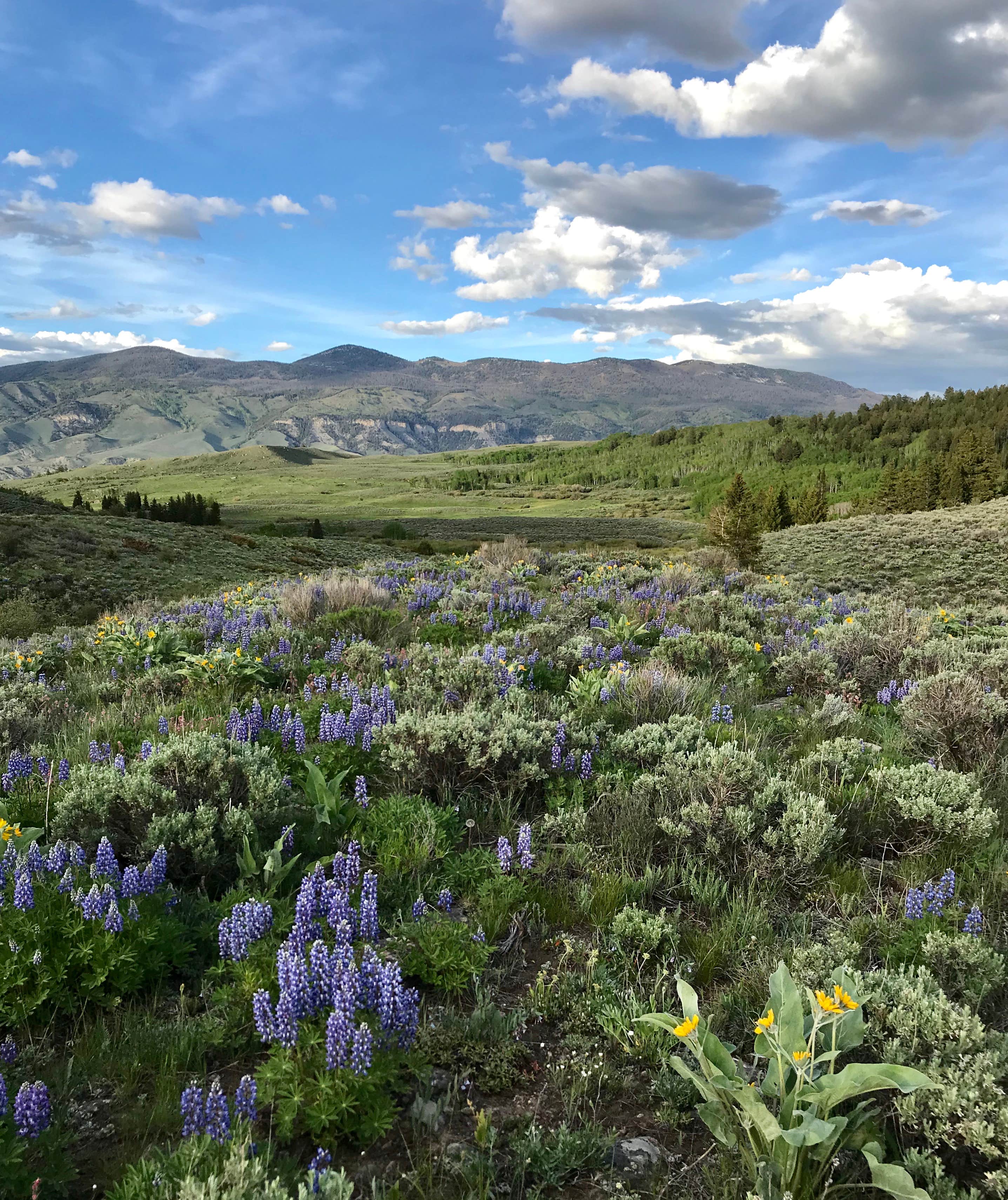 Camper-submitted photo at Cataract Creek Campground near Vail, CO