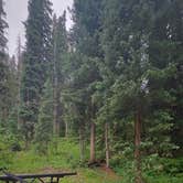 Review photo of Cayton Campground by wayne H., June 30, 2025