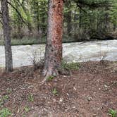 Review photo of Cayton Campground by Lauri S., June 6, 2025
