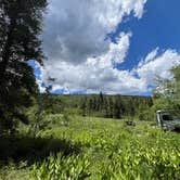 Review photo of Chapman Campground And Group Camp - White River NF by Renee H., July 2, 2024