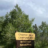 Review photo of Chapman Campground And Group Camp - White River NF by Renee H., July 2, 2024