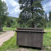 Review photo of Chapman Campground And Group Camp - White River NF by Renee H., July 2, 2024