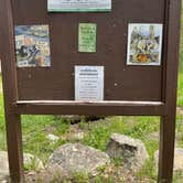 Review photo of Chapman Campground And Group Camp - White River NF by Renee H., July 2, 2024
